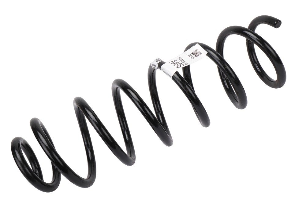 GM Genuine Parts Coil Spring 84302515